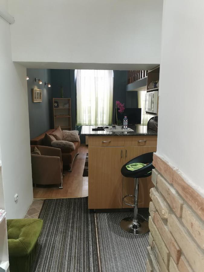 Galeria Apartman Szeged Bagian luar foto